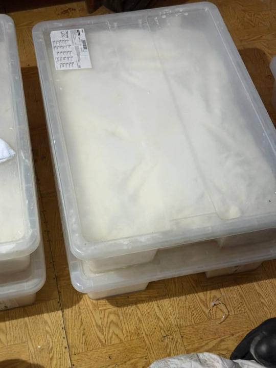 Полиция СКО пресекла канал поставки прекурсоров под видом бытовой химии