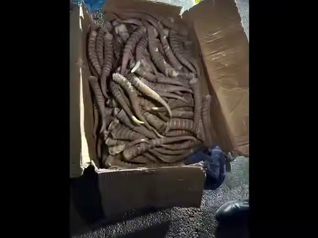 рога