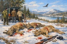 незаконная охота