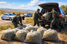 Полиция изъяла наркотики на $3 млн в области Улытау