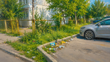 Акимат Бостандыкского района опубликовал отчет об уборке мусора с ИИ-фотографиями