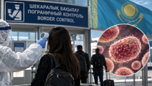 Оспа обезьяны 