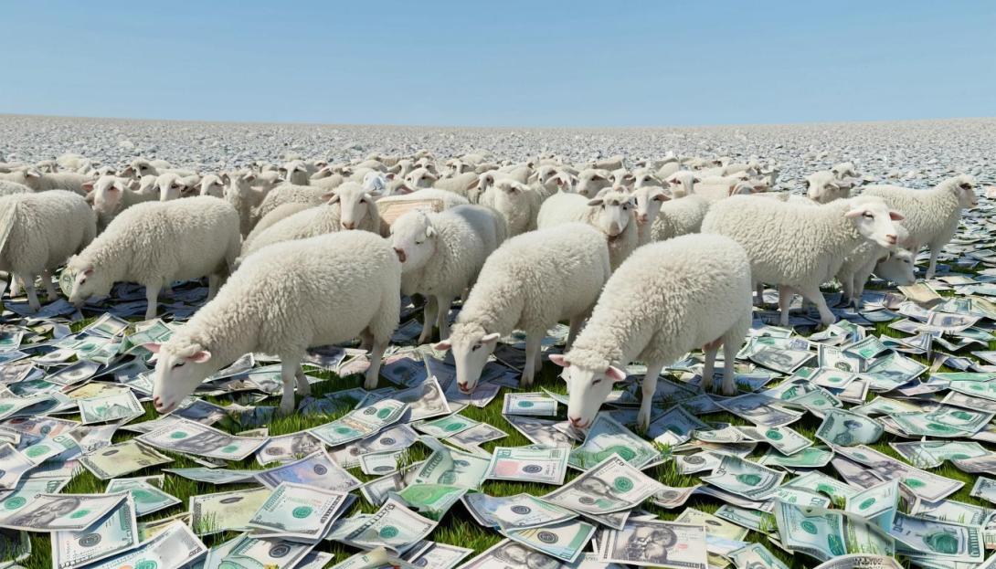 экспорт казахстанского скота 